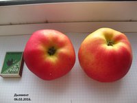 IMG_4902.JPG