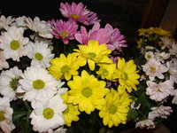DSC09959.JPG