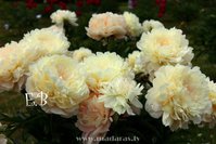 img_4880_20131211_1040557915.jpg