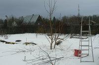 P1250037.JPG