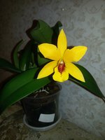 20160214_215819.jpg