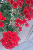 20150706_200337-1-1.jpg