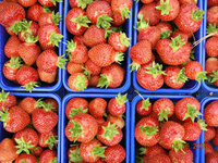 Фото отсюда http://agrofact.com/index.php?n=147