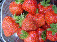 Фото отсюда http://agrofact.com/index.php?n=147