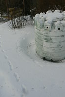 P1250073.JPG