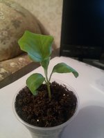 20160222_194306.jpg