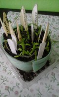 20160225_111437.jpg