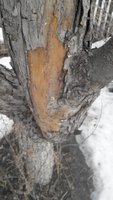 2016227141839.jpg