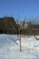 P1250239.JPG