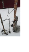 Безымянный 02-3.jpg