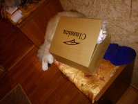 WP_003843.jpg