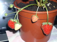DSCN4625.JPG