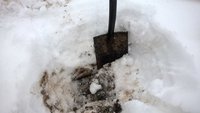 WP_20160306_11_02_00_Pro.jpg