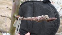 DSC04761 -01.jpg