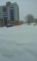 авто.jpg