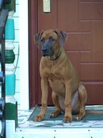 масик, младший,в этом году ему будет 8 лет