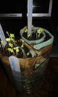 20160319_125451.jpg