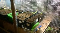 WP_20160319_004.jpg