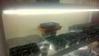 WP_20160321_18_45_28_Pro.jpg