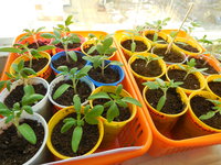 DSCN0309.JPG