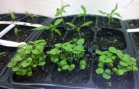 WP_20160326_19_14_46_Pro.jpg