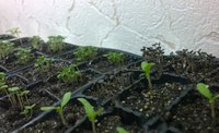 WP_20160326_19_15_03_Pro.jpg