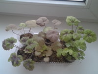 20130119_143617.jpg
