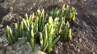 WP_20160326_17_10_24_Pro.jpg