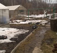 WP_20160330_10_01_15_Pro.jpg