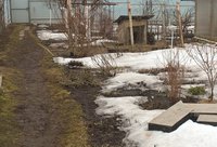 WP_20160330_10_01_39_Pro.jpg