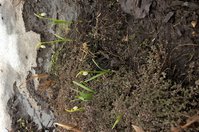 WP_20160330_10_06_35_Pro.jpg