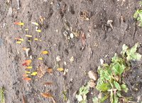 WP_20160330_10_07_34_Pro.jpg