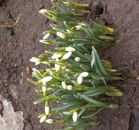 WP_20160330_10_07_42_Pro.jpg