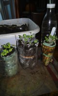 20160329_140204.jpg