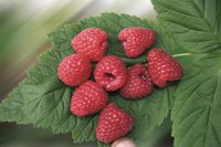 451314_5_720x600.jpg