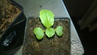 WP_20160403_004.jpg