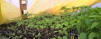 WP_20160403_17_06_00_Pro.jpg