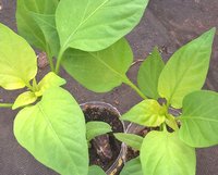 WP_20160405_11_14_39_Pro.jpg
