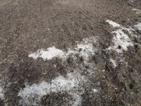 DSC04843-01.jpg