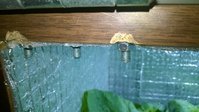 WP_20160407_003.jpg