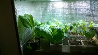 WP_20160407_001.jpg