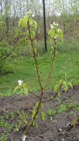 DSC03839-01.jpg