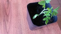 20160412_080940.jpg