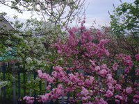 image (19).jpg