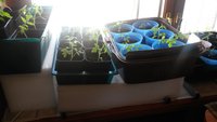 20160412_095654.jpg