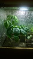 WP_20160415_006.jpg