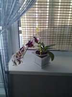 29042011311.jpg