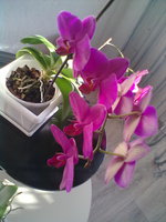 29042011306.jpg