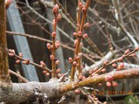 DSCN4480.JPG