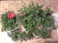 20160421_214806.jpg